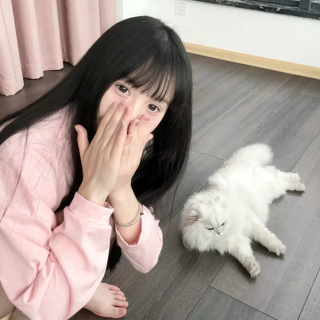 小狗当家