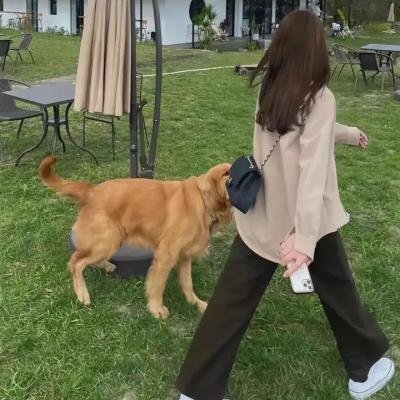 猜心游戏